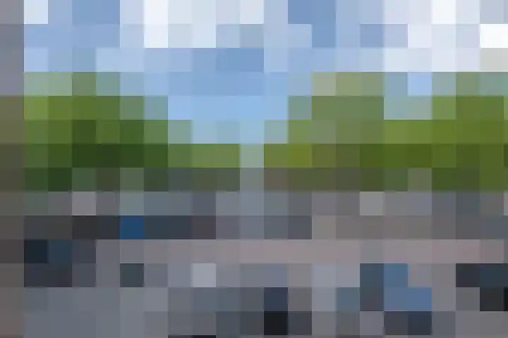 Anthony Tijkenstraat 12 Rotterdam thumbnail 19
