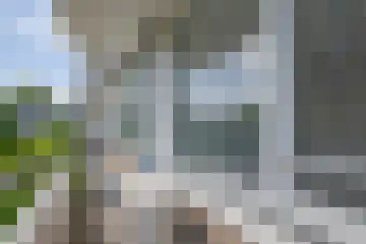 Anthony Tijkenstraat 12 Rotterdam thumbnail 20
