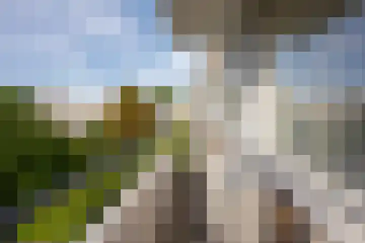 Anthony Tijkenstraat 14 Rotterdam thumbnail 11
