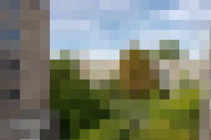 Anthony Tijkenstraat 14 Rotterdam thumbnail 13