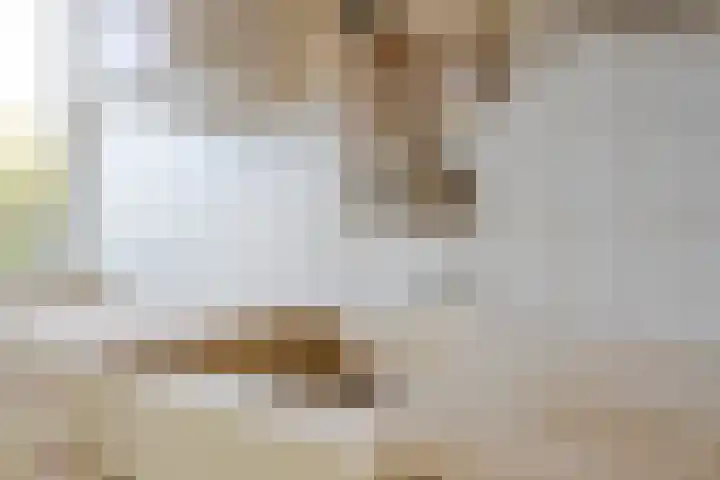 Anthony Tijkenstraat 14 Rotterdam thumbnail 17
