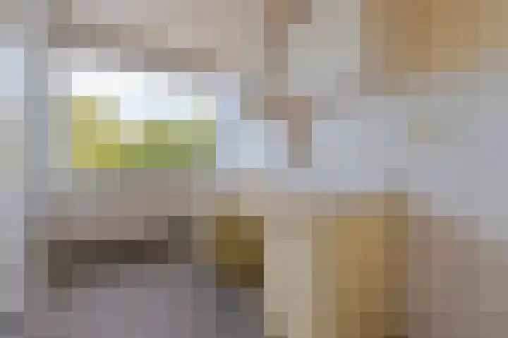 Anthony Tijkenstraat 14 Rotterdam thumbnail 4