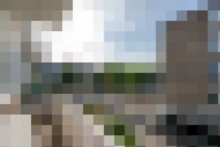 Anthony Tijkenstraat 14 Rotterdam thumbnail 5