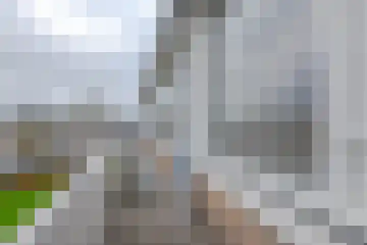 Anthony Tijkenstraat 16 Rotterdam thumbnail 10