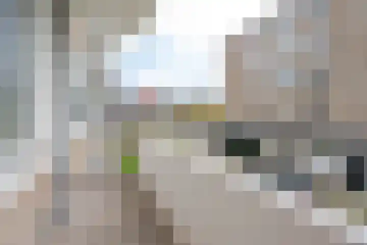 Anthony Tijkenstraat 20 Rotterdam thumbnail 11