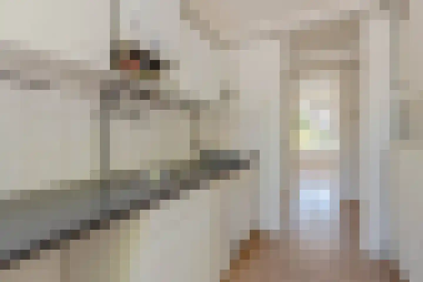 Anthony Tijkenstraat 26 Rotterdam thumbnail 14