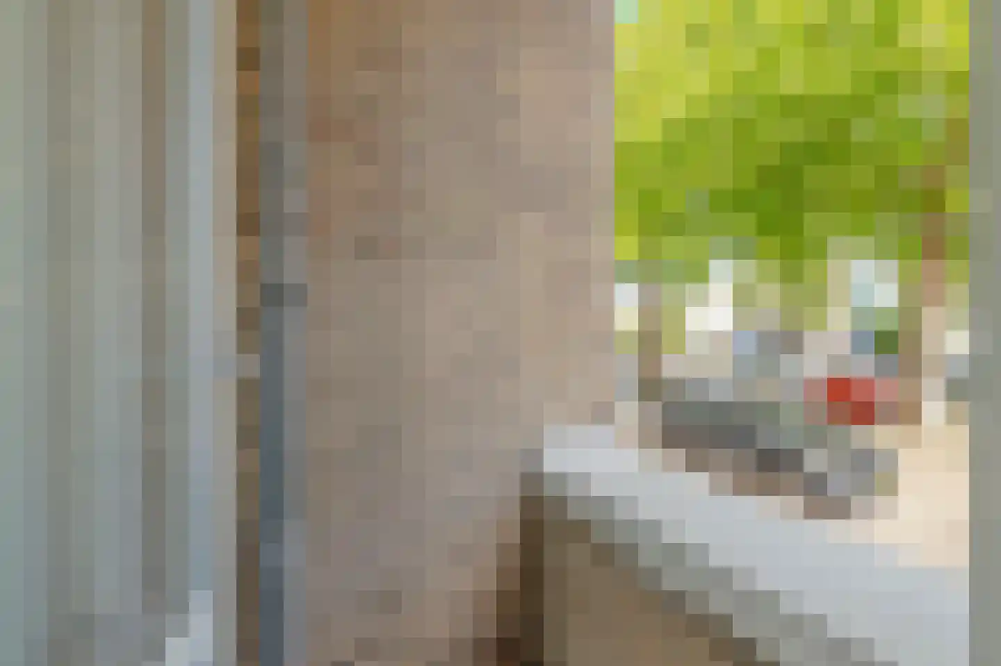 Anthony Tijkenstraat 26 Rotterdam thumbnail 18