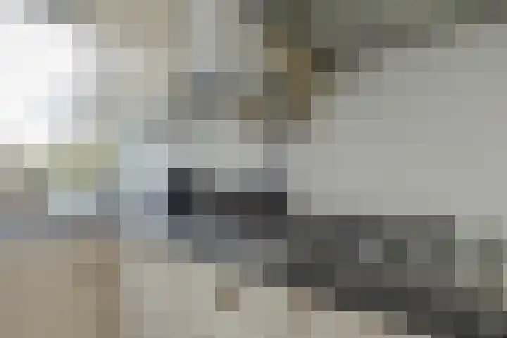Anthony Tijkenstraat 28 Rotterdam thumbnail 14