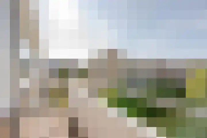 Anthony Tijkenstraat 40 Rotterdam thumbnail 19
