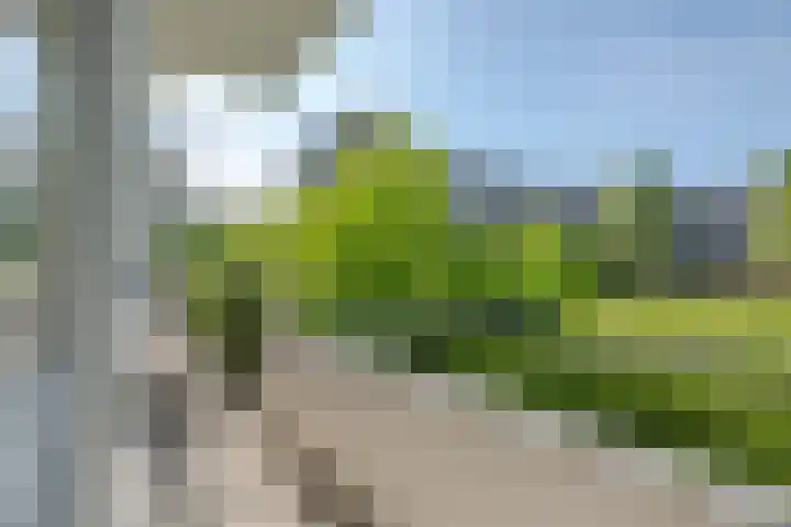 Anthony Tijkenstraat 42 Rotterdam thumbnail 16
