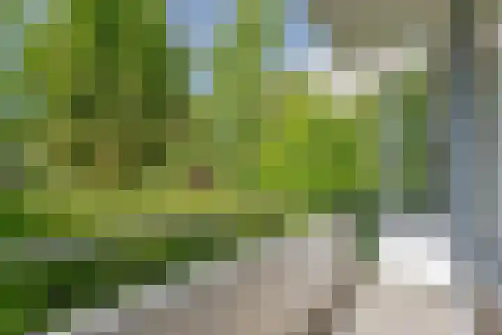 Anthony Tijkenstraat 42 Rotterdam thumbnail 5