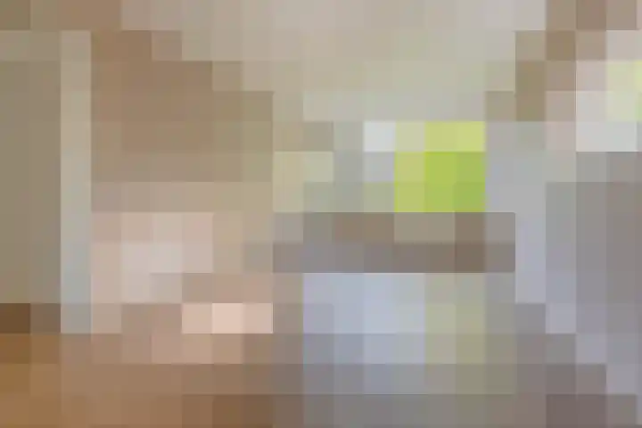 Anthony Tijkenstraat 42 Rotterdam thumbnail 9