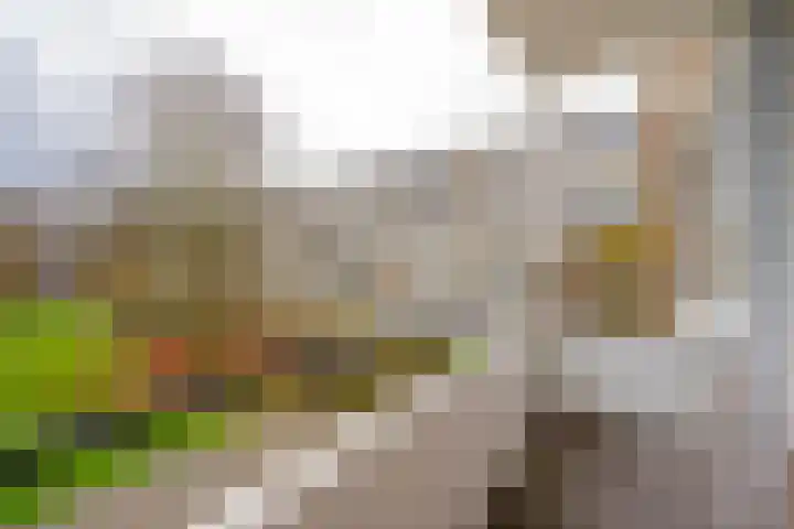 Anthony Tijkenstraat 44 Rotterdam thumbnail 19