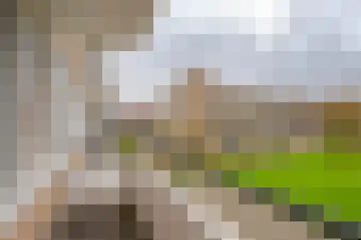 Anthony Tijkenstraat 44 Rotterdam thumbnail 5