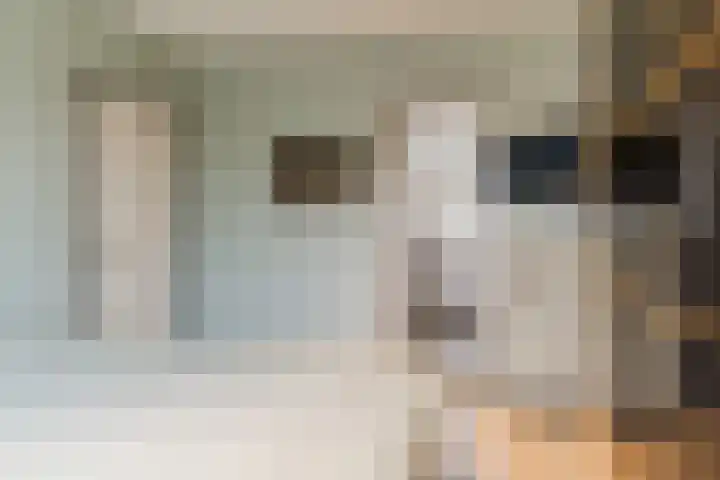 Anthony van Lalainglaan 5 Culemborg thumbnail 21