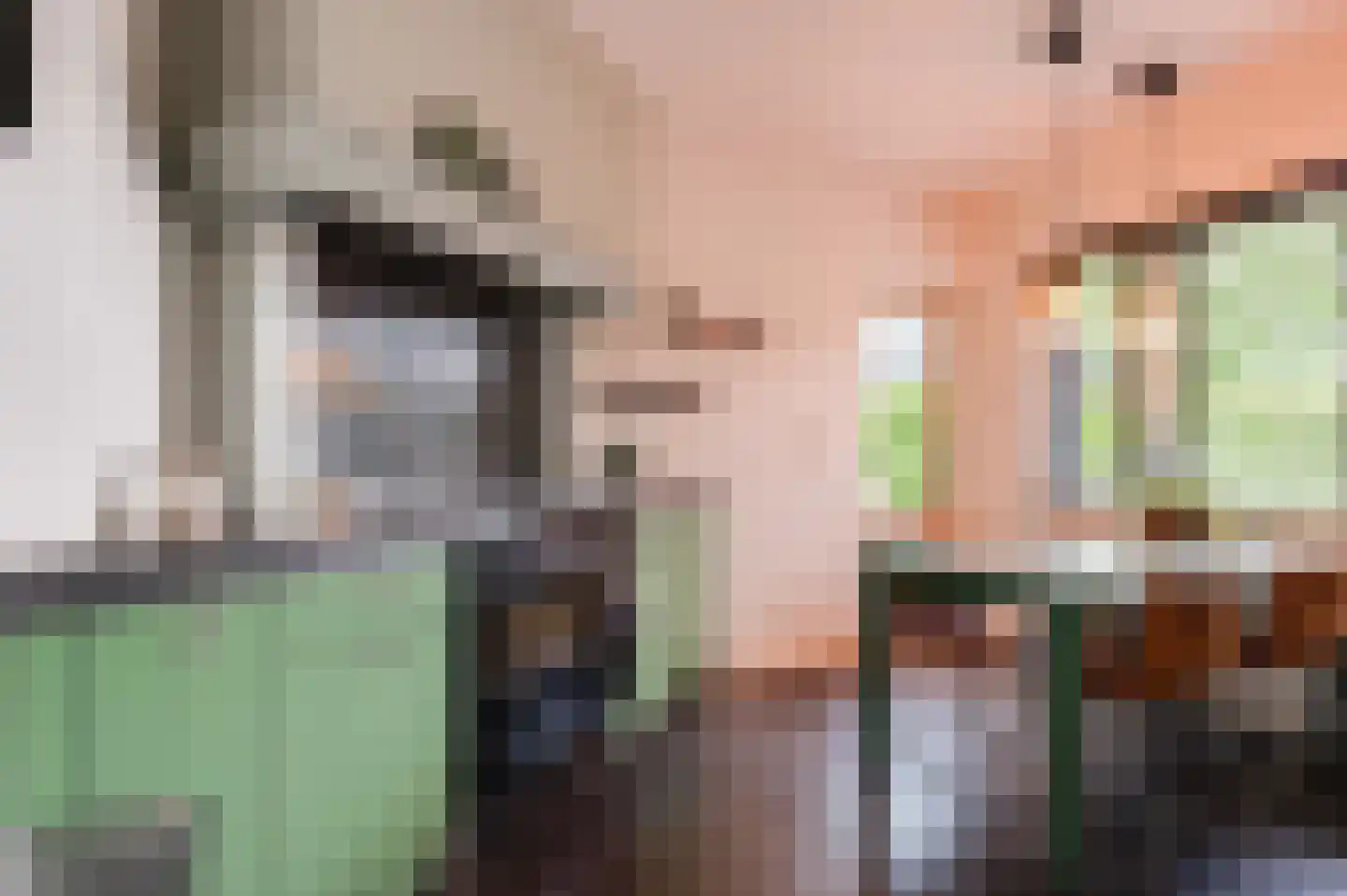 Anthony van Lalainglaan 61 Culemborg thumbnail 13