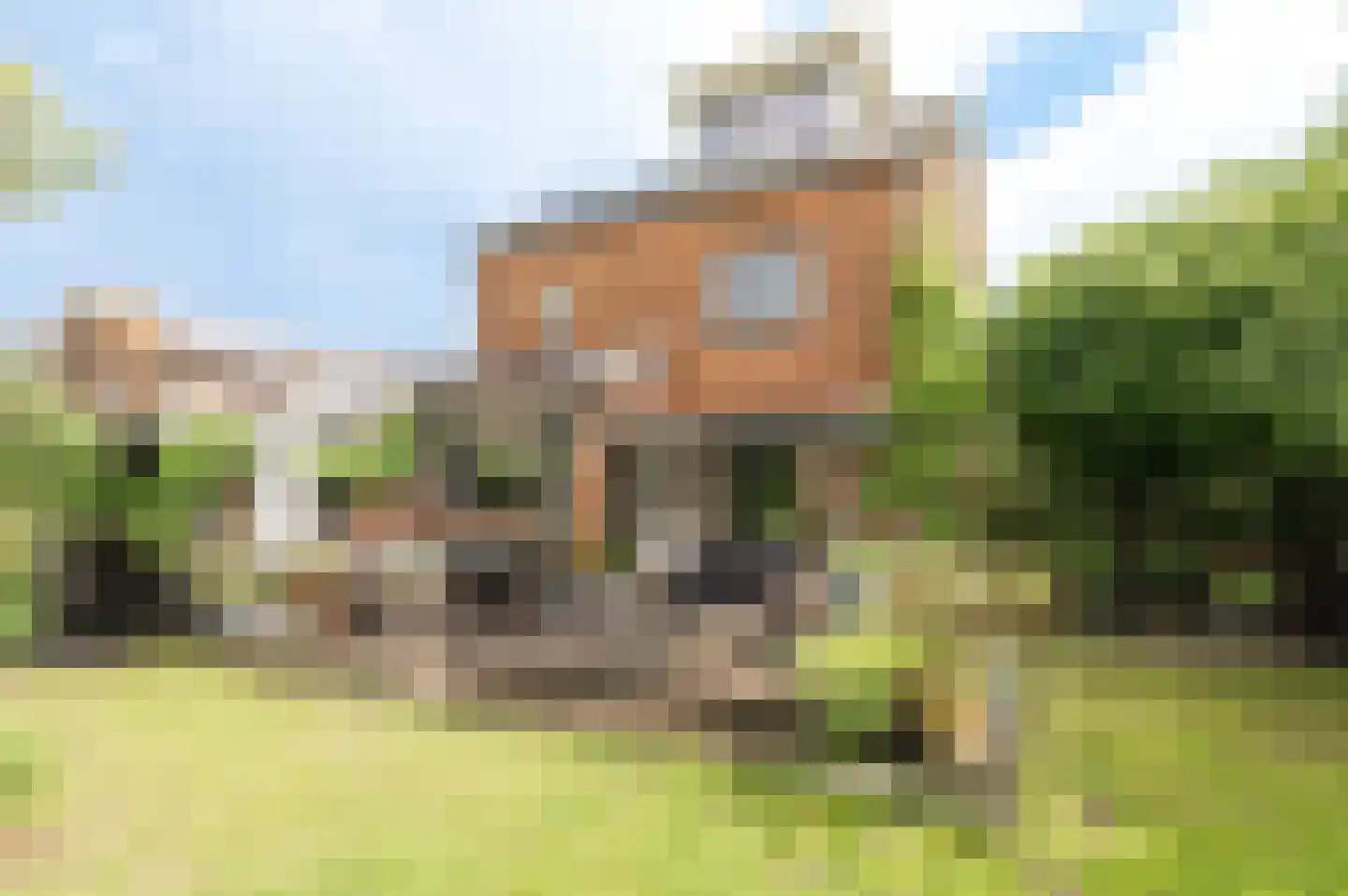 Anthony van Lalainglaan 61 Culemborg thumbnail 23