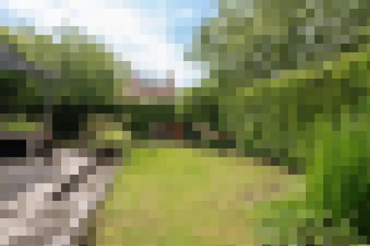 Anthony van Lalainglaan 61 Culemborg thumbnail 26