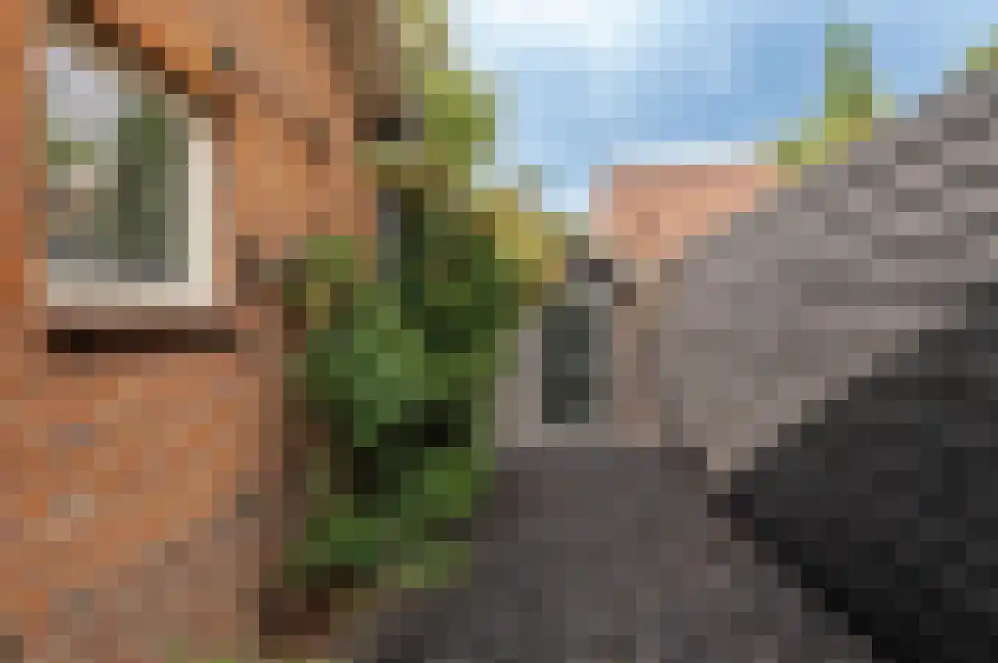 Anthony van Lalainglaan 61 Culemborg thumbnail 31
