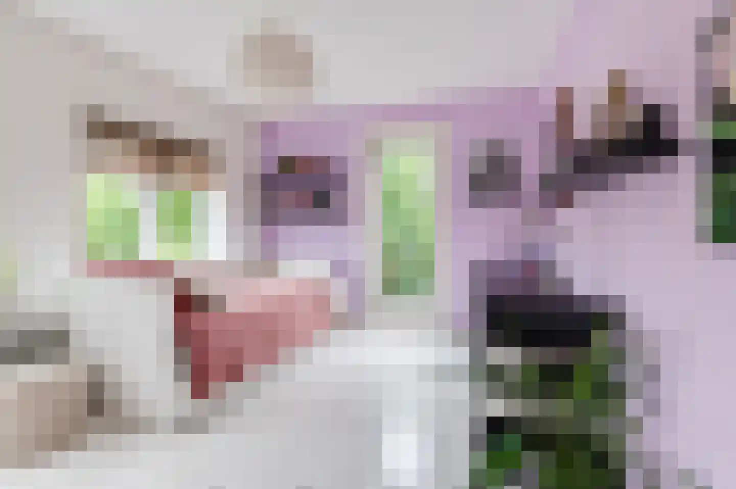 Anthony van Lalainglaan 61 Culemborg thumbnail 37