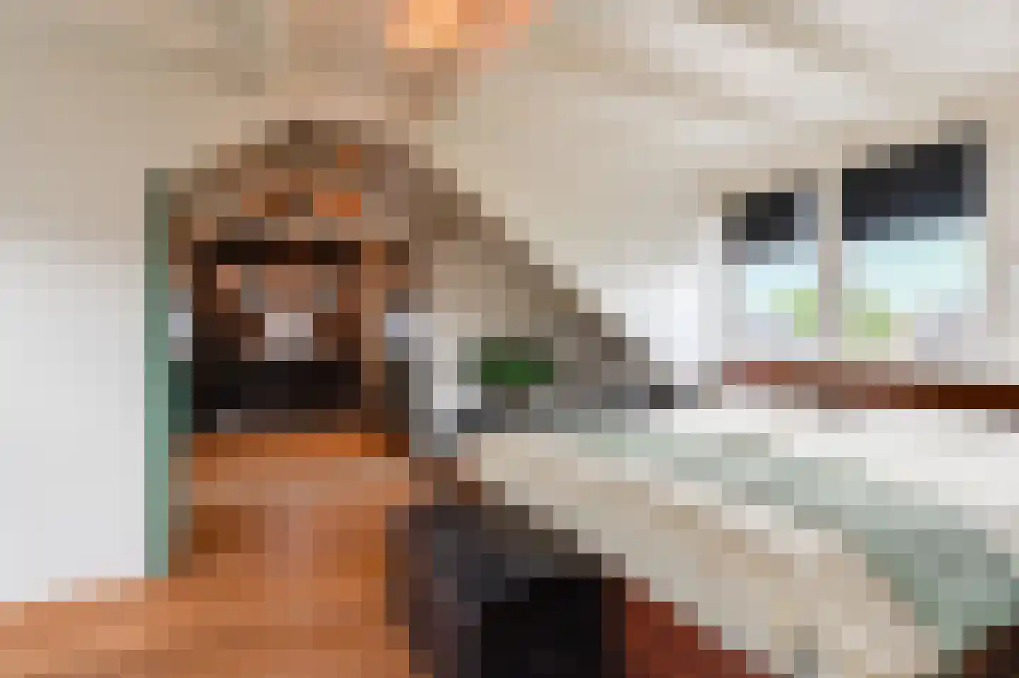 Anthony van Lalainglaan 61 Culemborg thumbnail 51