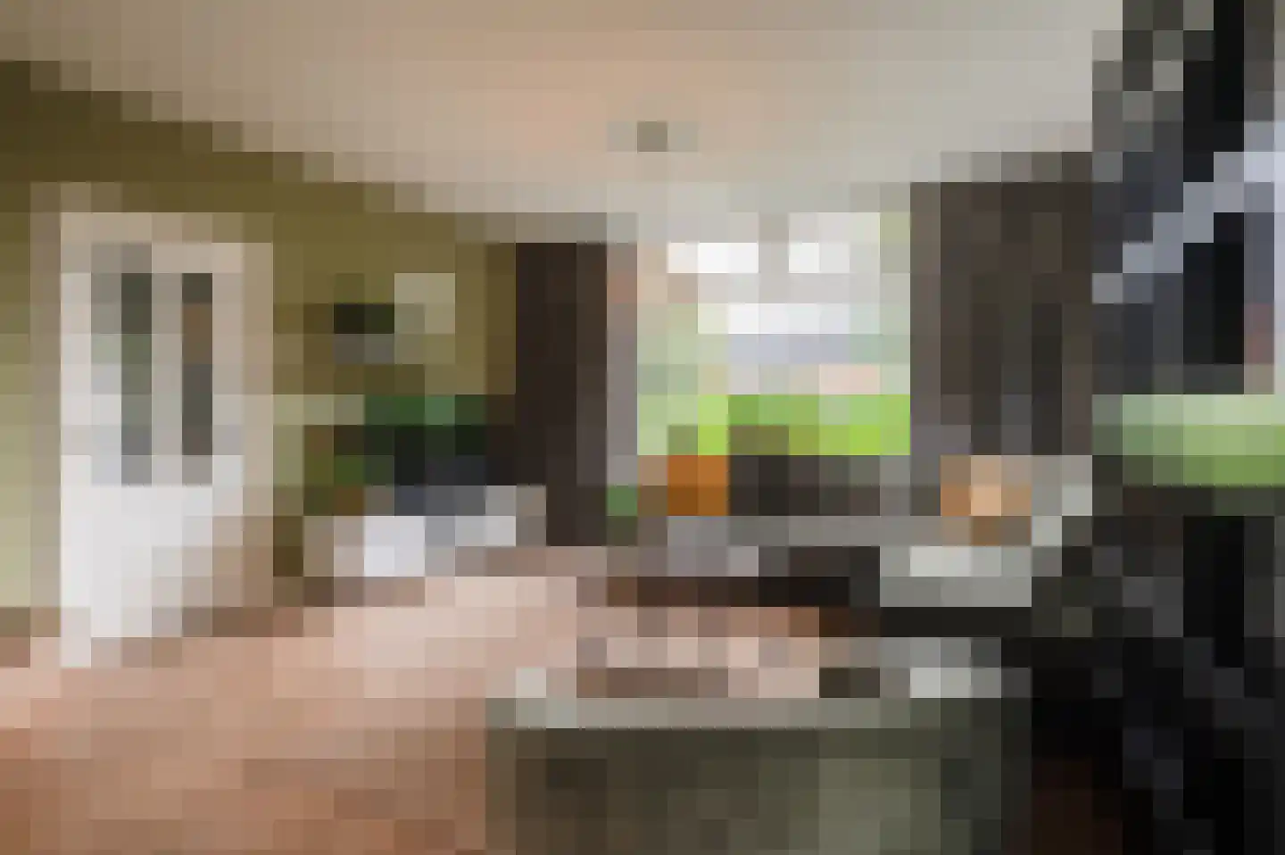 Anthony van Lalainglaan 61 Culemborg thumbnail 7