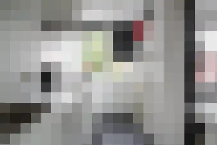 Anthony van Leeuwenhoeklaan 2 II Hengelo thumbnail 10
