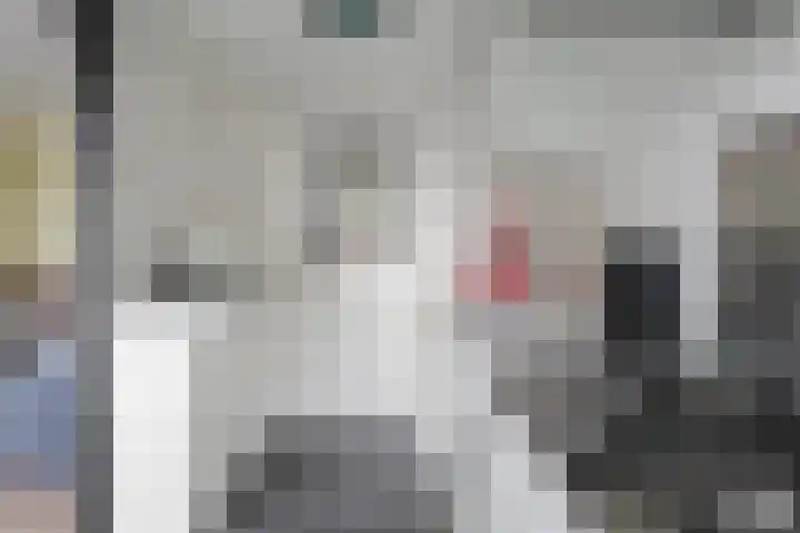 Anthony van Leeuwenhoeklaan 2 II Hengelo thumbnail 11