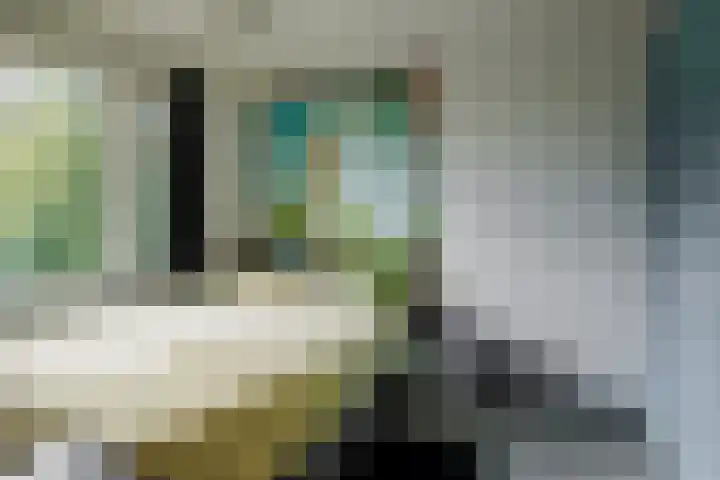 Anthony van Leeuwenhoeklaan 2 II Hengelo thumbnail 12
