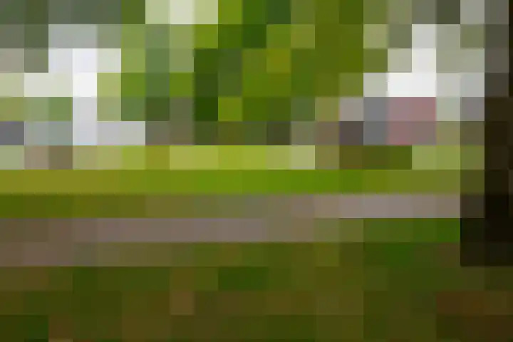Anthony van Leeuwenhoeklaan 2 II Hengelo thumbnail 19