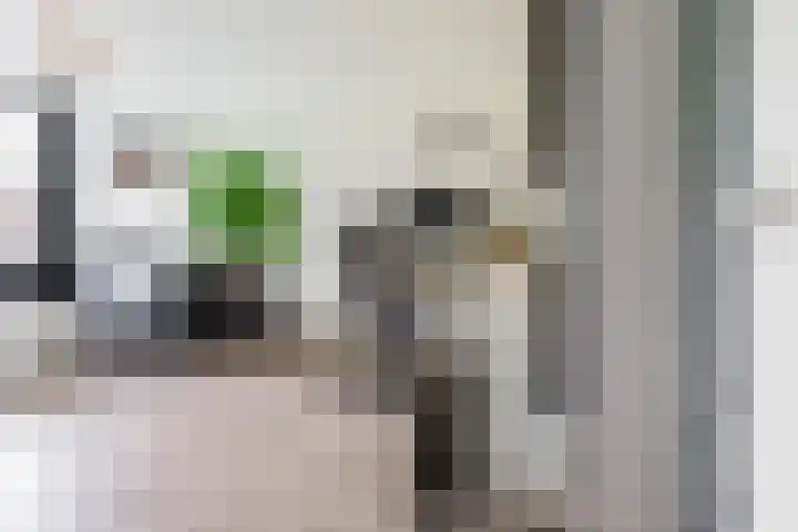 Anthony van Leeuwenhoeklaan 2 II Hengelo thumbnail 5