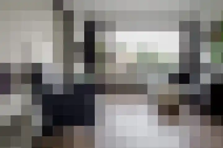 Anthony van Leeuwenhoeklaan 2 II Hengelo thumbnail 6