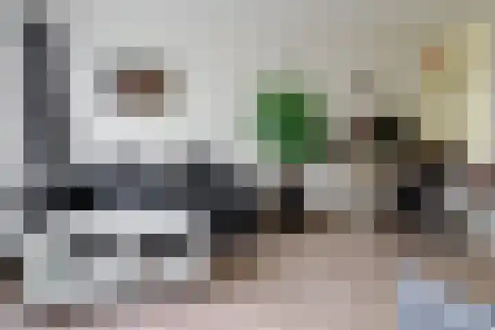 Anthony van Leeuwenhoeklaan 2 II Hengelo thumbnail 7