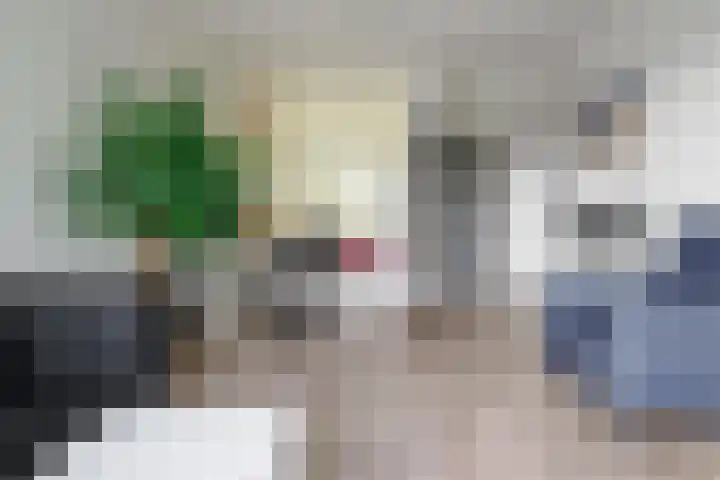 Anthony van Leeuwenhoeklaan 2 II Hengelo thumbnail 8