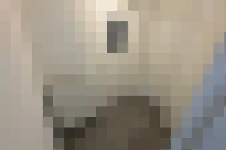 Anthony van Leeuwenhoeklaan 4 Hengelo thumbnail 10