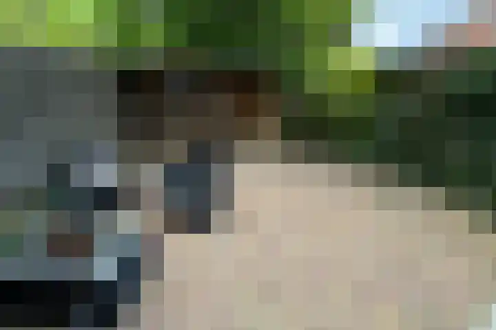 Anthony van Leeuwenhoeklaan 4 Hengelo thumbnail 12