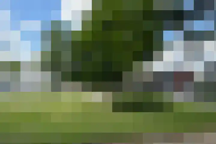 Anthony van Leeuwenhoeklaan 4 Hengelo thumbnail 17