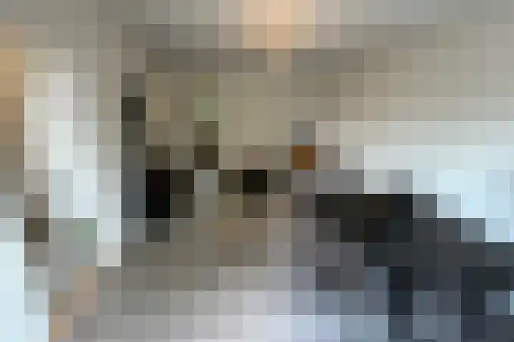 Anthony van Leeuwenhoeklaan 4 Hengelo thumbnail 4