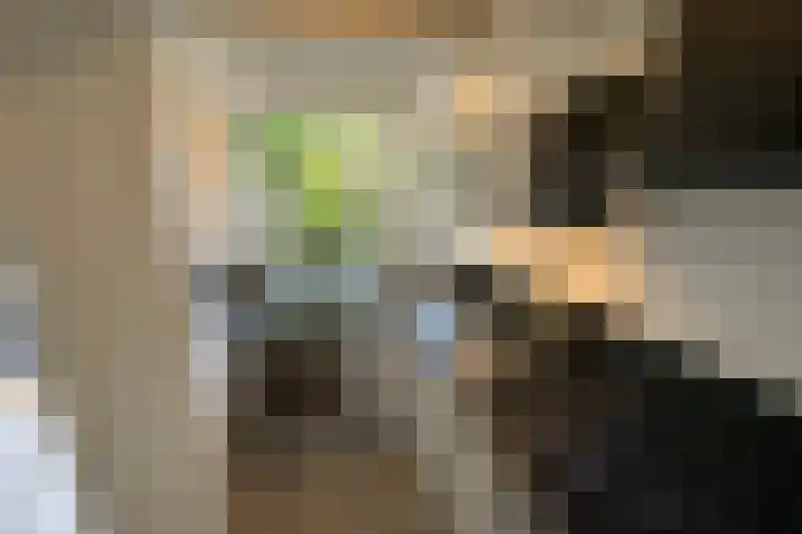 Anthony van Leeuwenhoeklaan 4 Hengelo thumbnail 6