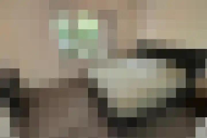 Anthony van Leeuwenhoeklaan 4 Hengelo thumbnail 7