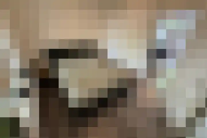 Anthony van Leeuwenhoeklaan 4 Hengelo thumbnail 8