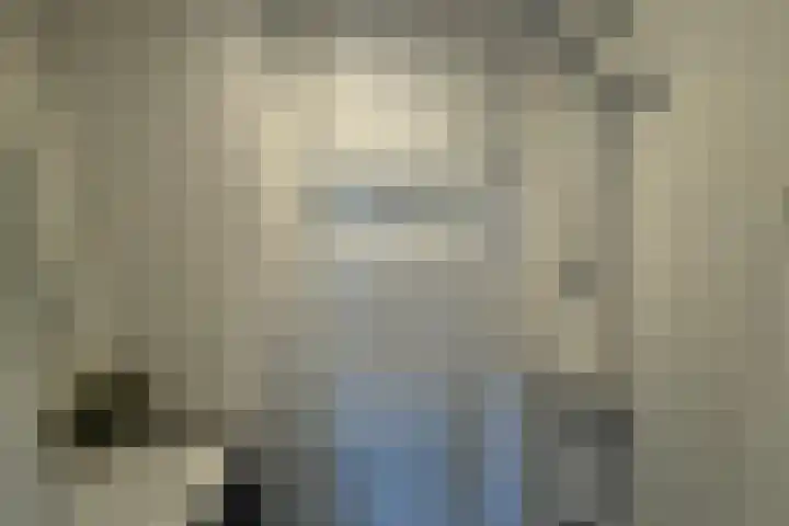Anthony van Leeuwenhoeklaan 4 Hengelo thumbnail 9