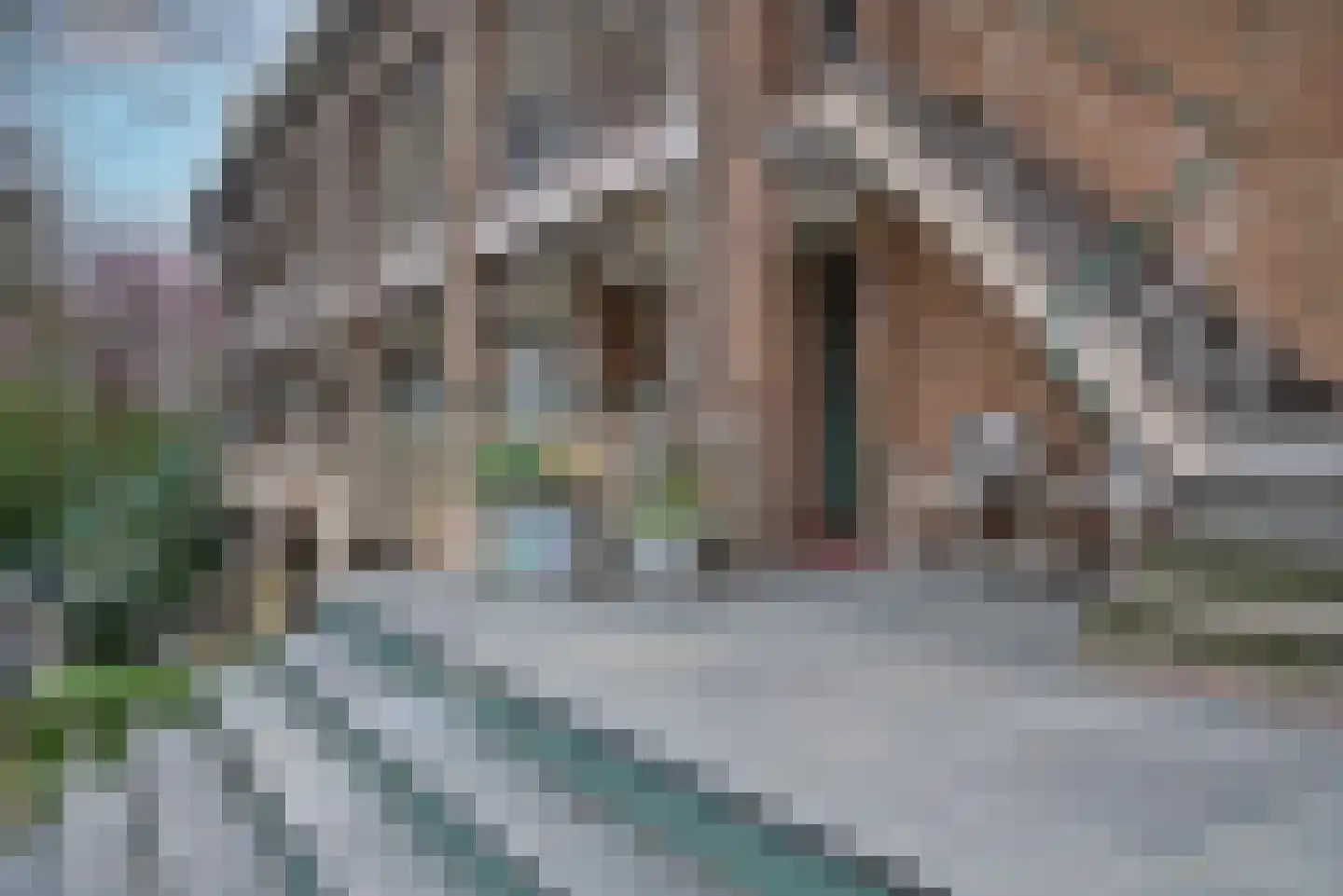 Anthony van Leeuwenhoeklaan 6 I Hengelo thumbnail 5