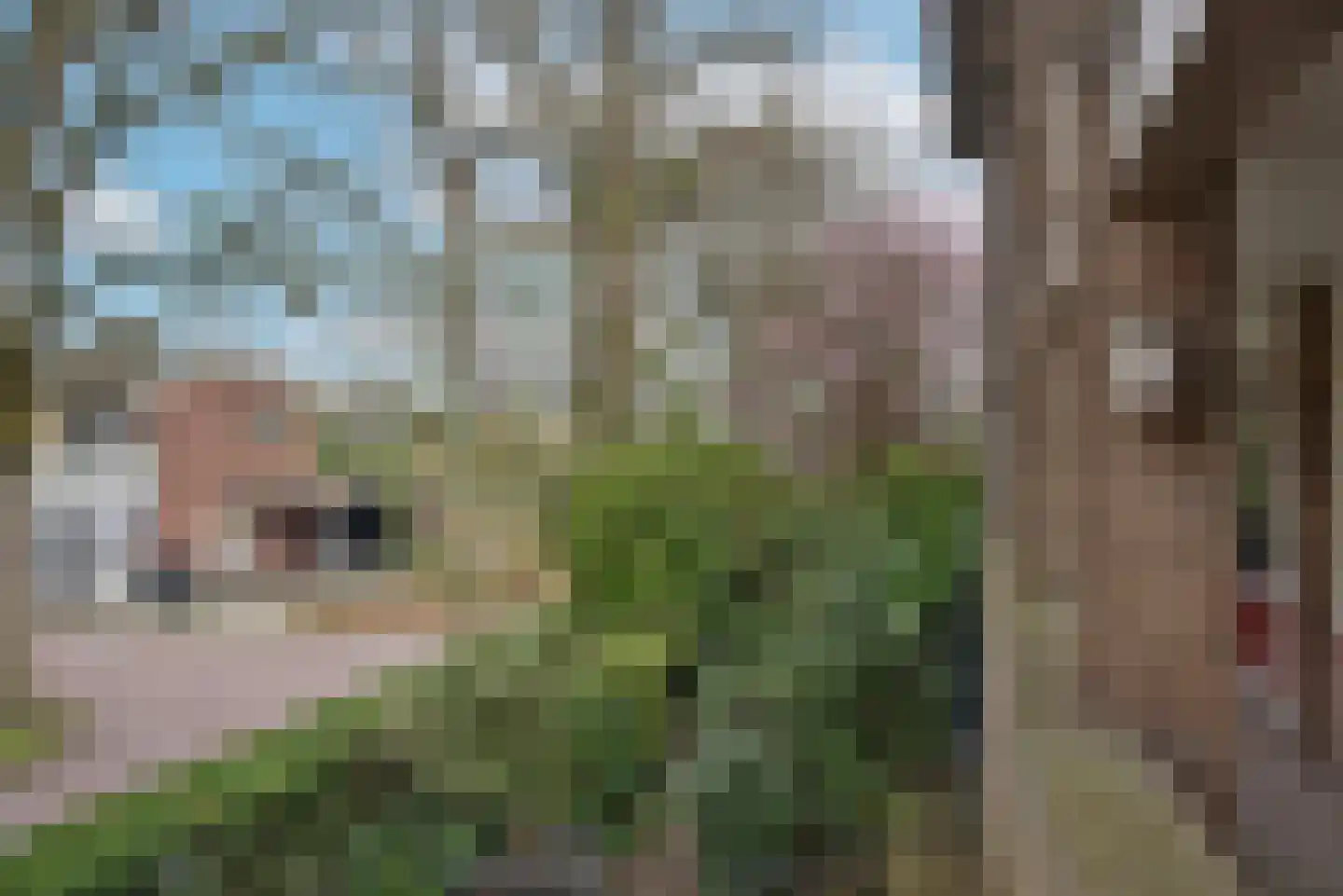 Anthony van Leeuwenhoeklaan 6 I Hengelo thumbnail 6