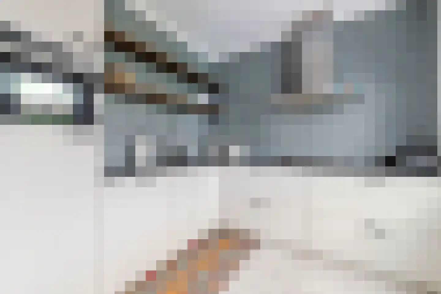 Anthony van Opbergenstraat 11 Eindhoven thumbnail 12