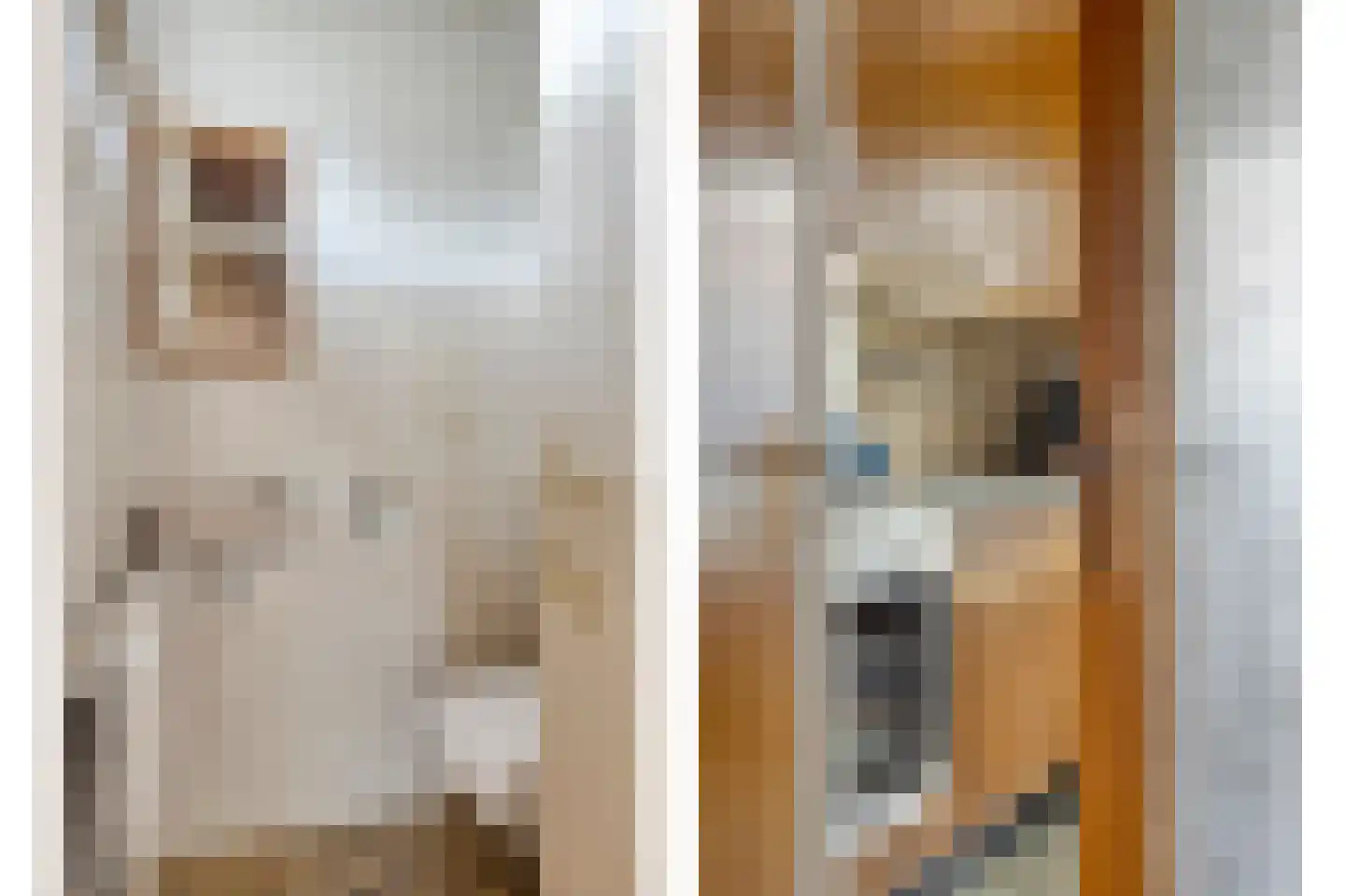 Anthony van Opbergenstraat 19 Eindhoven thumbnail 15