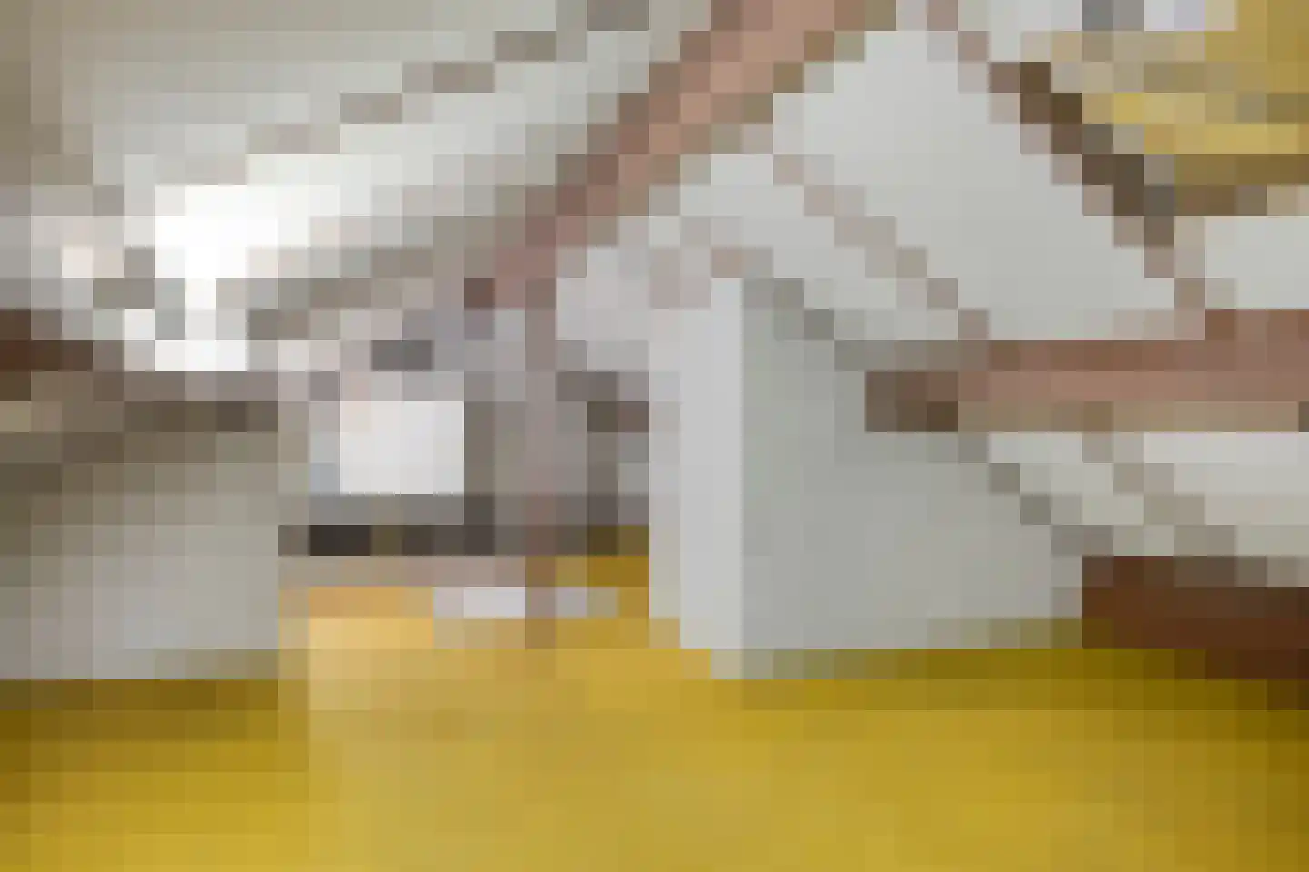 Anthony van Opbergenstraat 19 Eindhoven thumbnail 30