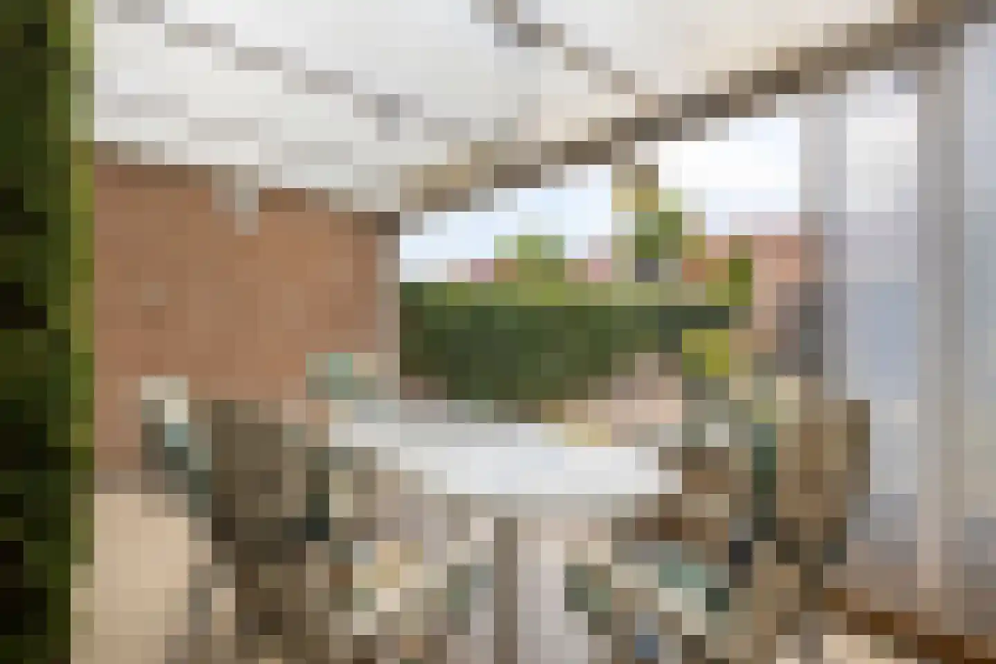 Anthony van Opbergenstraat 19 Eindhoven thumbnail 33