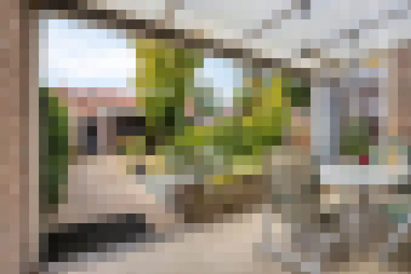 Anthony van Opbergenstraat 19 Eindhoven thumbnail 34