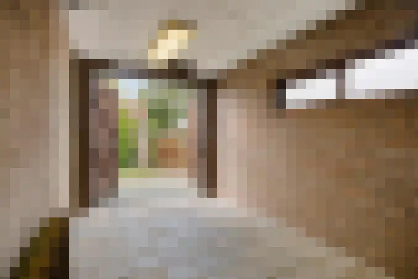 Anthony van Opbergenstraat 19 Eindhoven thumbnail 36